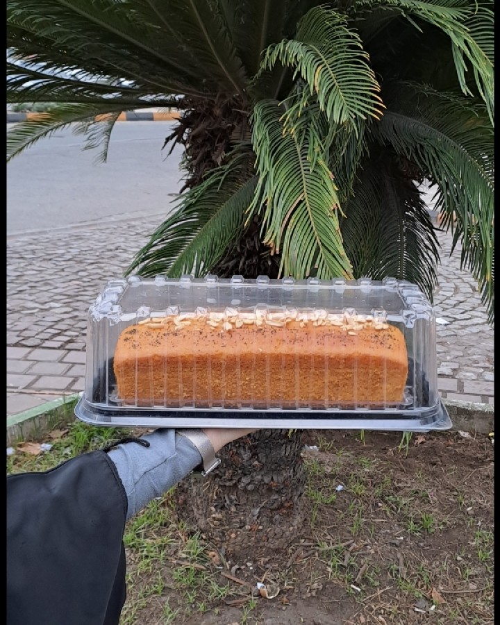 عکس کیک شربتی