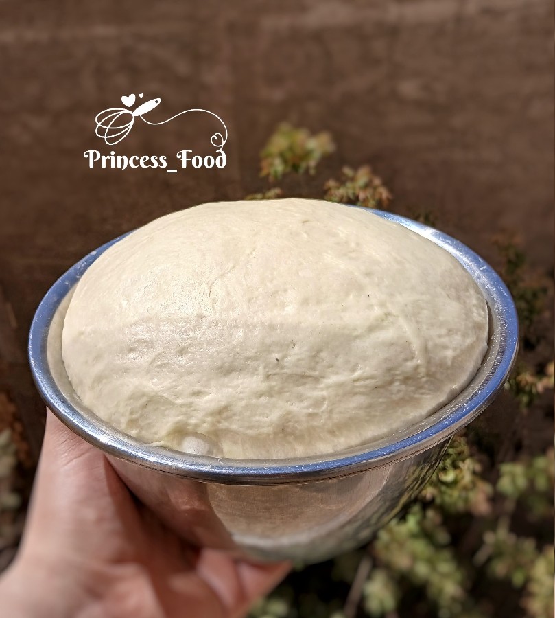 عکس مینی باگت