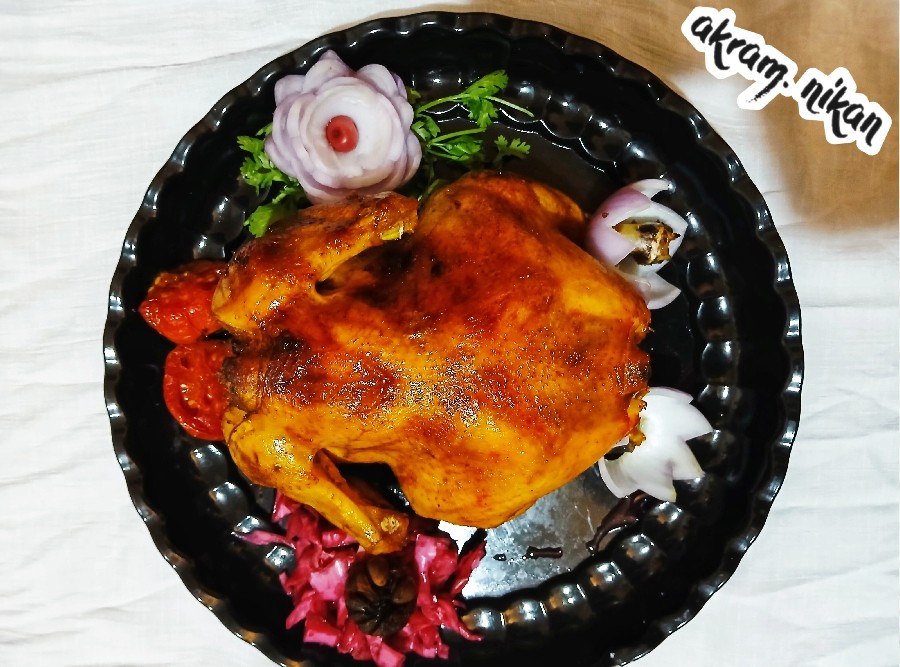 عکس مرغ شکم پر