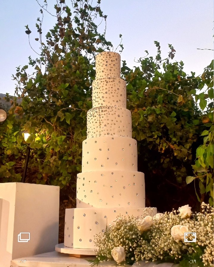 عکس کیک عروس 