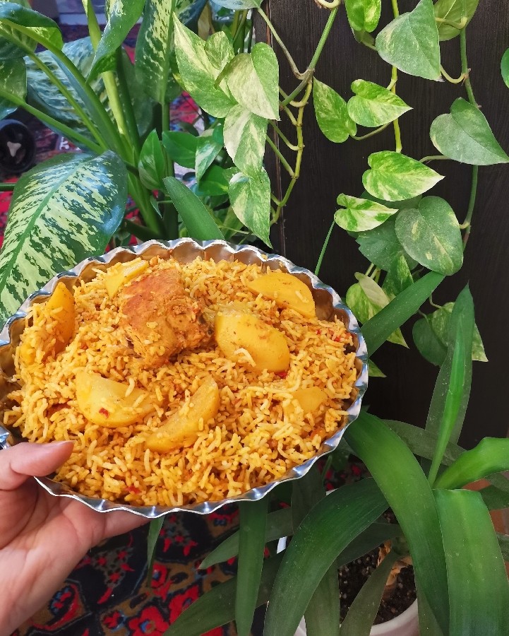 عکس بریانی مرغ 