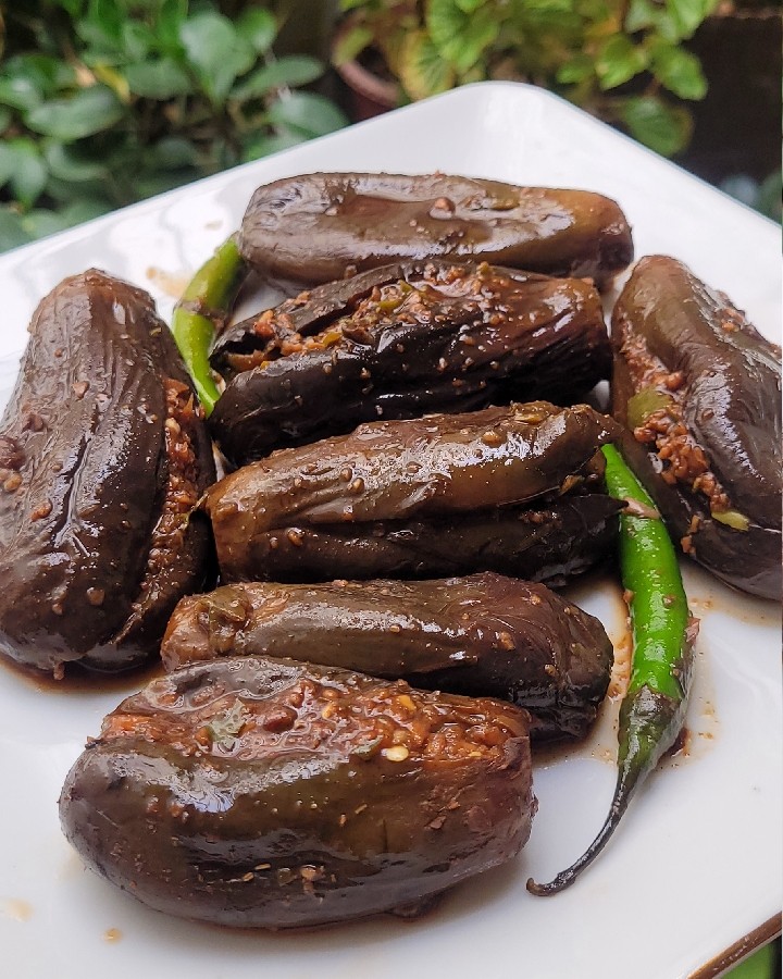 عکس بادمجان شکم پر