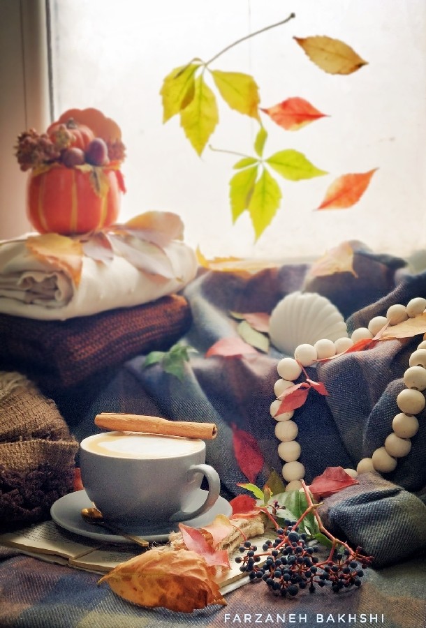 عکس پاییز خیال‌انگیز