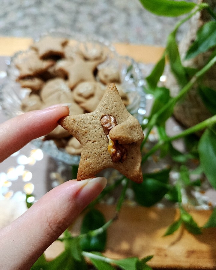 عکس بیسکوییت