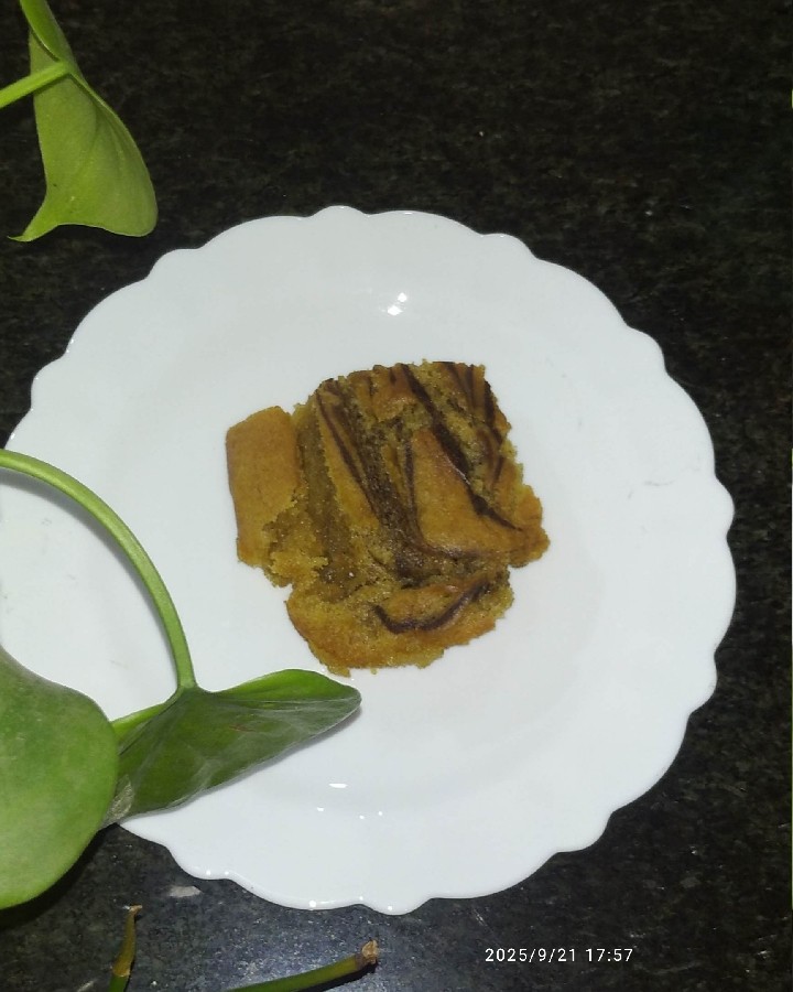 عکس تجگی سیستان