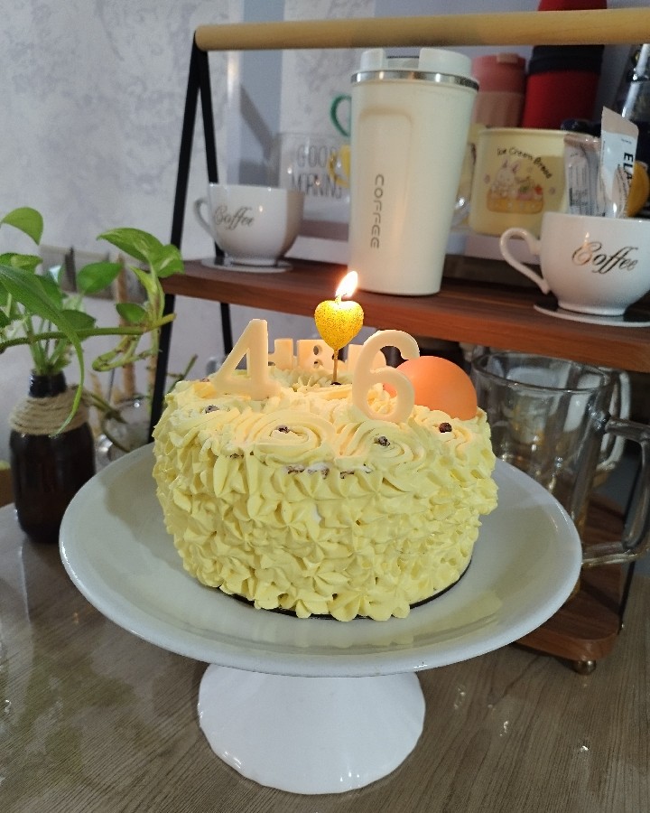 عکس کیک شیفون