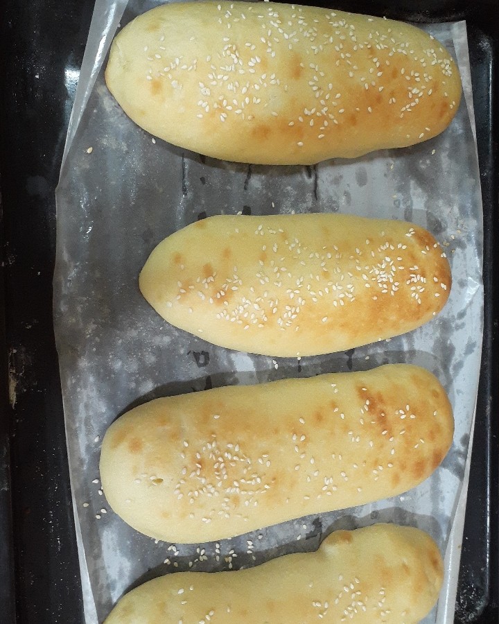 عکس نان باگت وبرگر