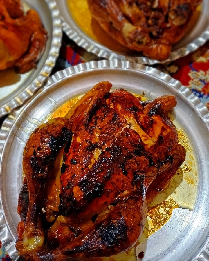 عکس مرغ شکم پر
