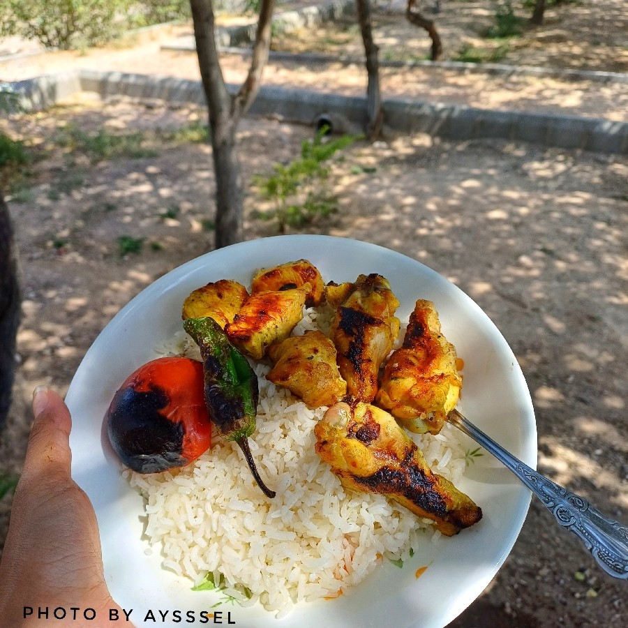عکس جوجه کباب 