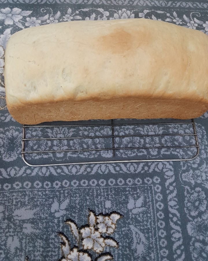 عکس نون تست??