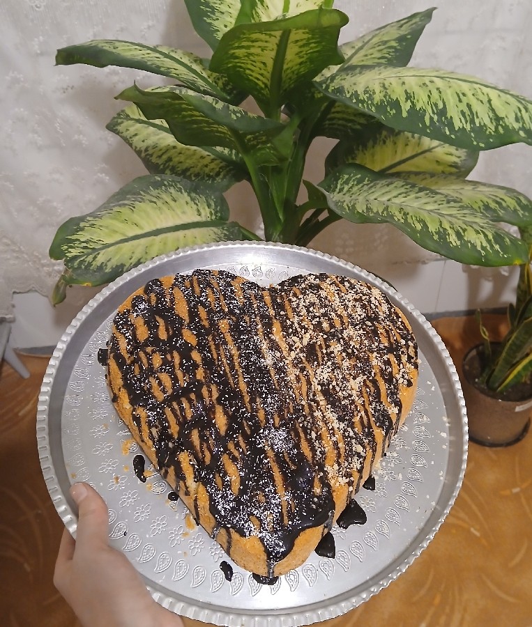 عکس کیک شکلاتی?