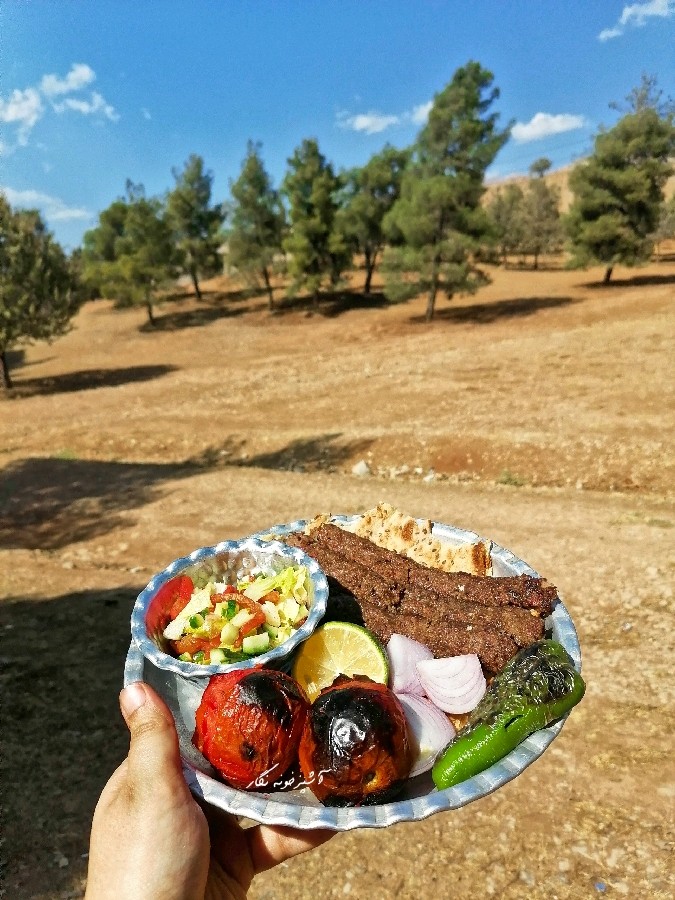 عکس کباب کوبیده(ورق بزن لطفا 