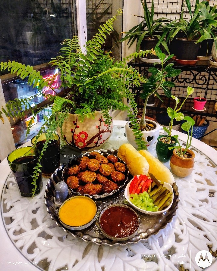 عکس فلافل