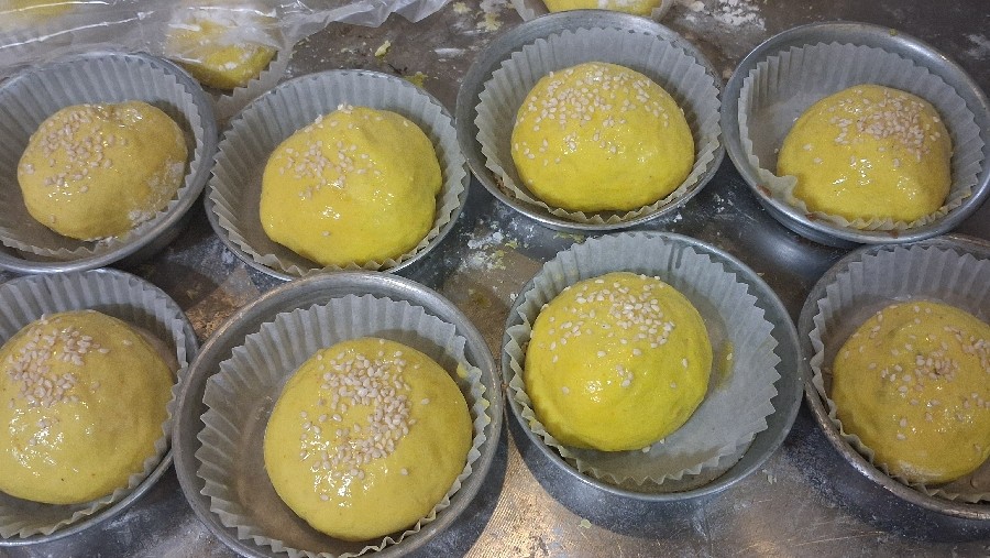 عکس  نون پنیرمجلسی
