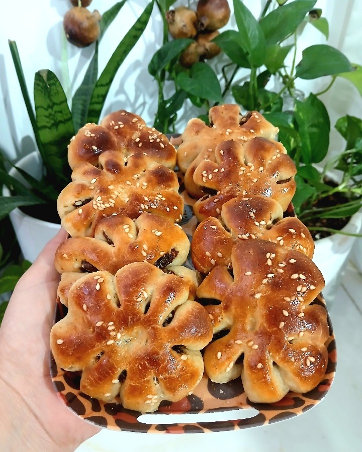 عکس نون خرماوگردویی