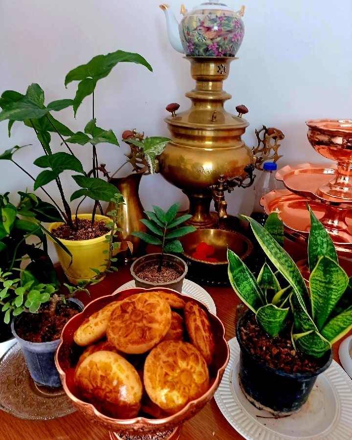 عکس کلوچه خرمایی