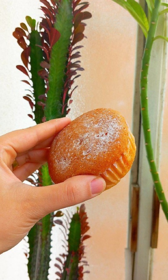 عکس پای سیب خونگی