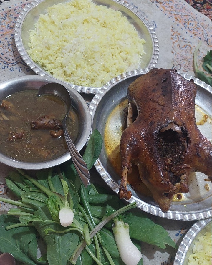 عکس غاز شکم پر