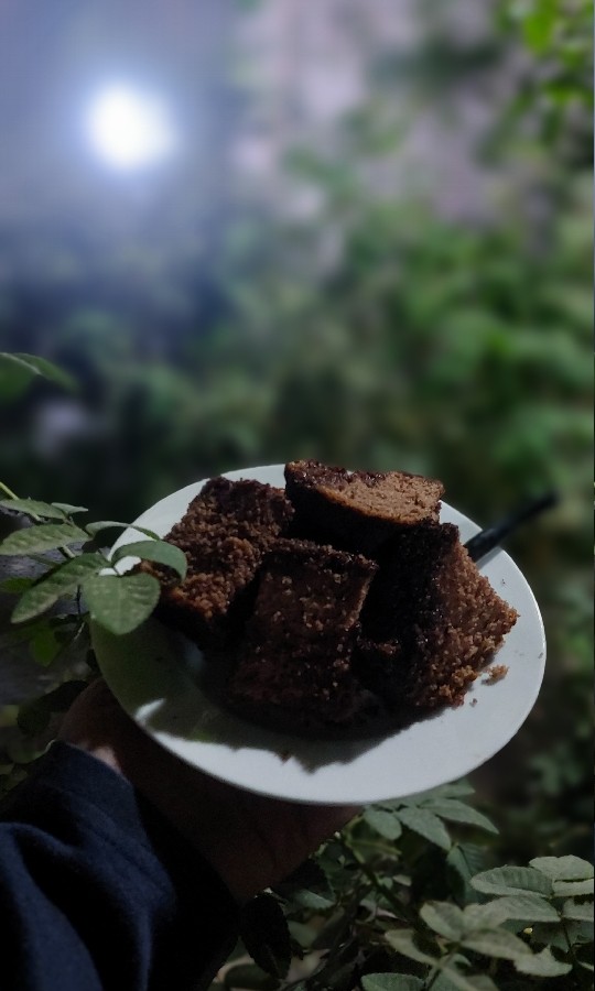 عکس کیک شکلاتی