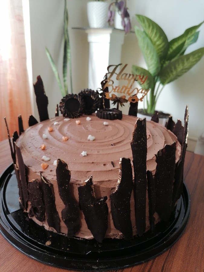 عکس کیک شکلاتی 