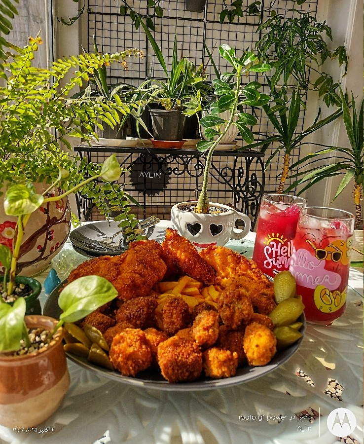 عکس چیکن استریپس & 