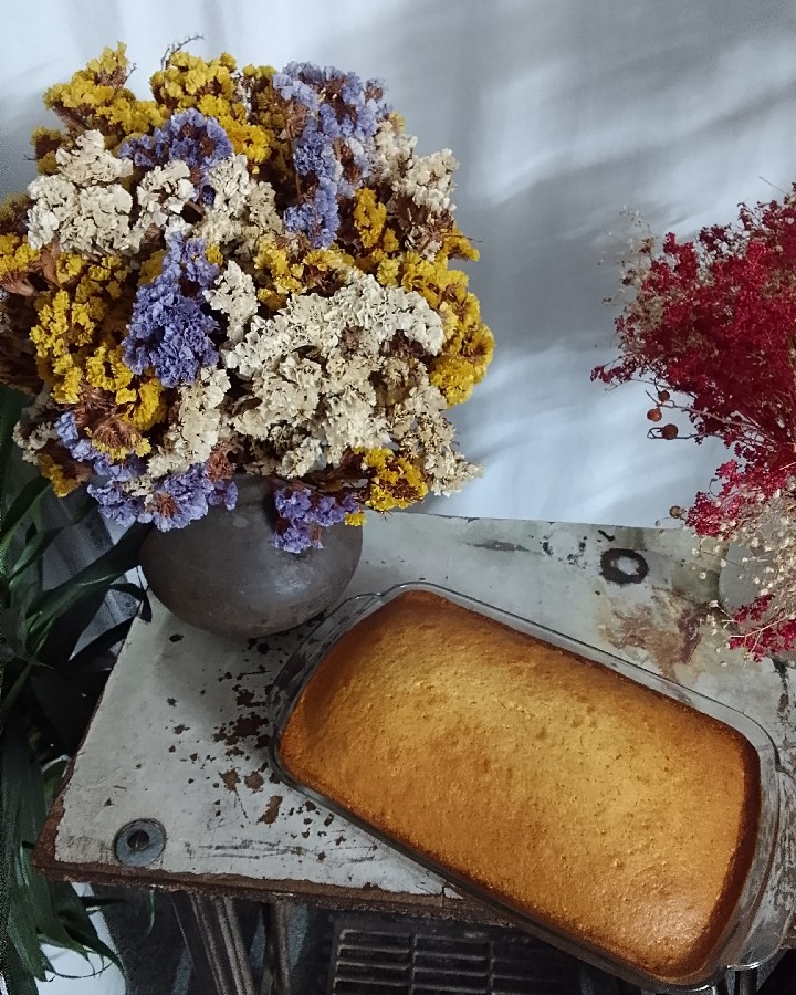 عکس کیک ساده 