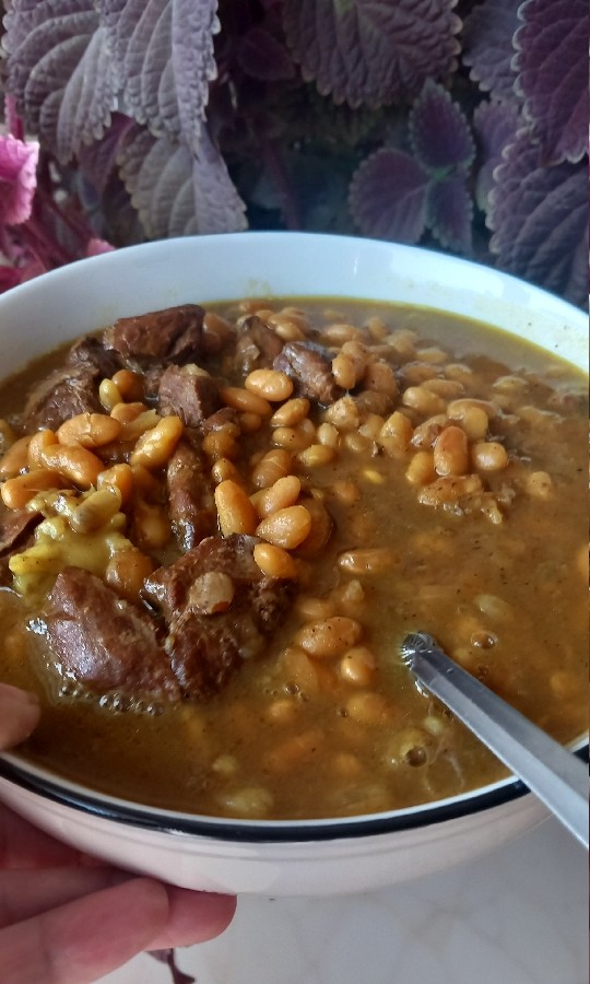 عکس گوشت و لوبیا کاشونی