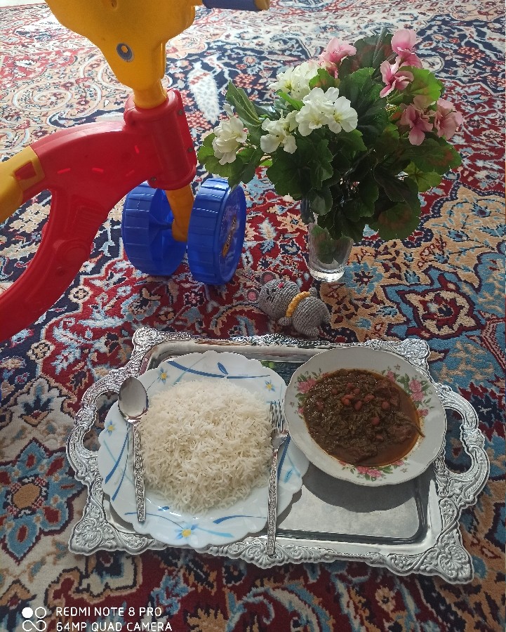 عکس قورمه سبزی 