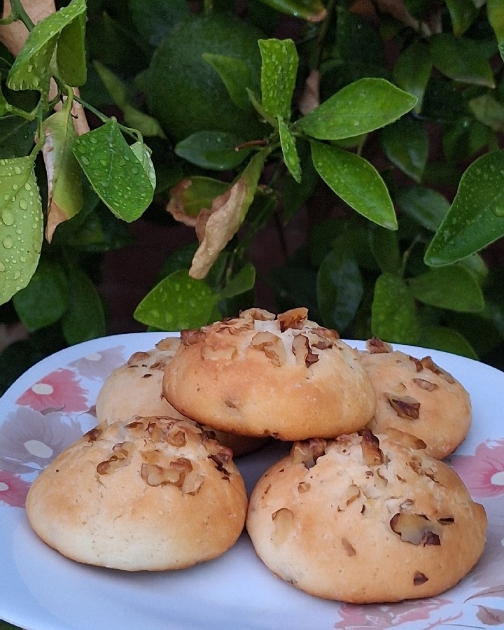 عکس کلوچه گردویی