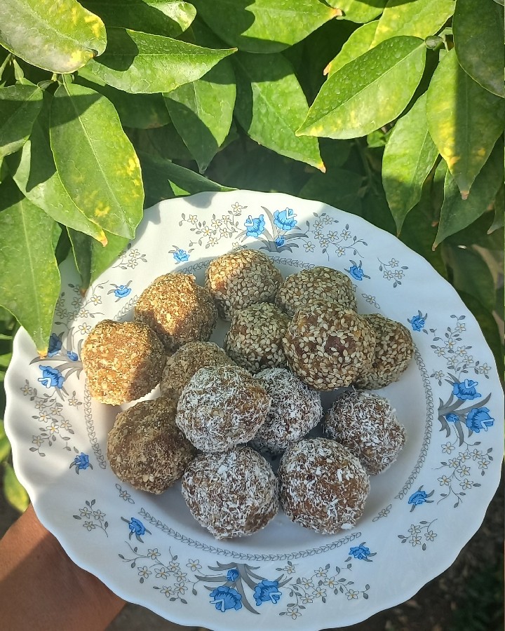 عکس توپک خرمایی