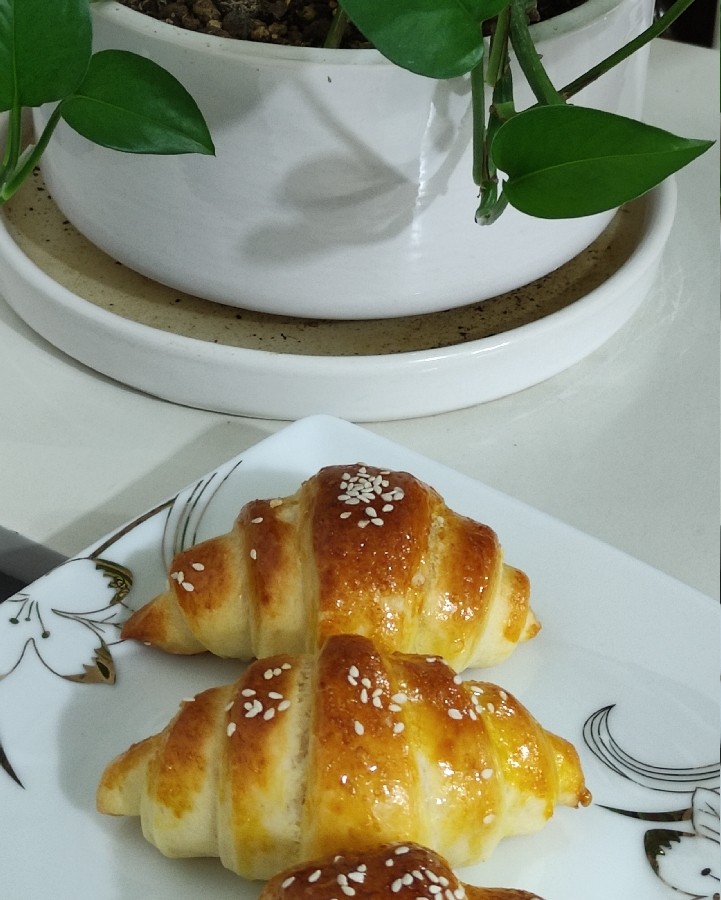 عکس پچ پچ 