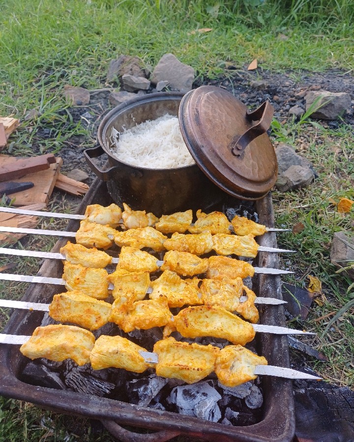 عکس جوجه کباب