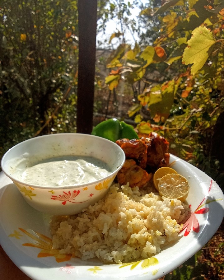 عکس جوجه