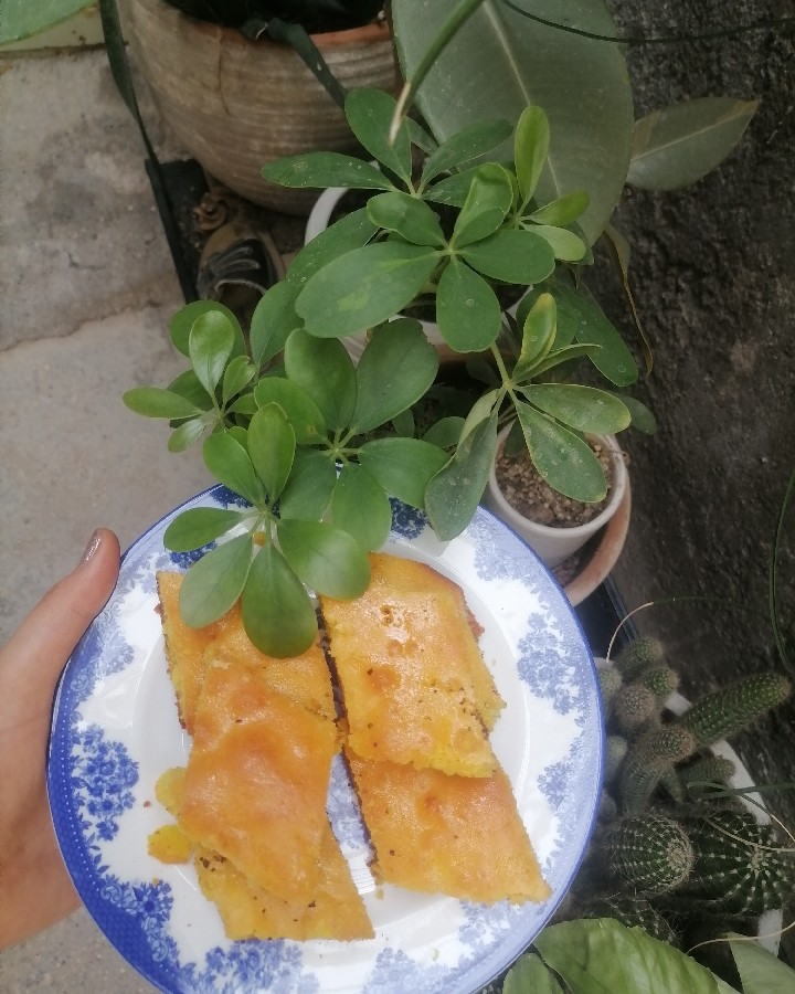 عکس کیک شربتی