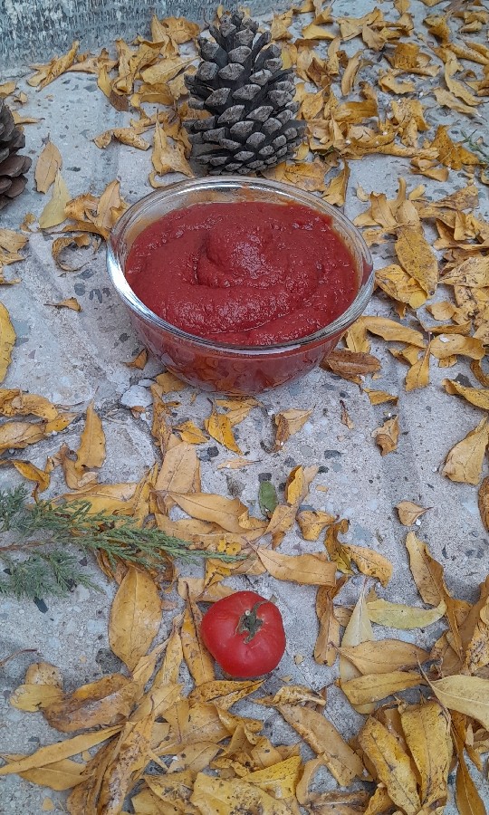 عکس رب خانگی 
