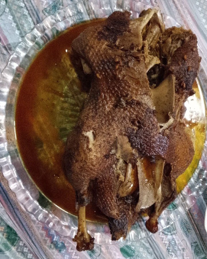 عکس اردک شکم پر 
