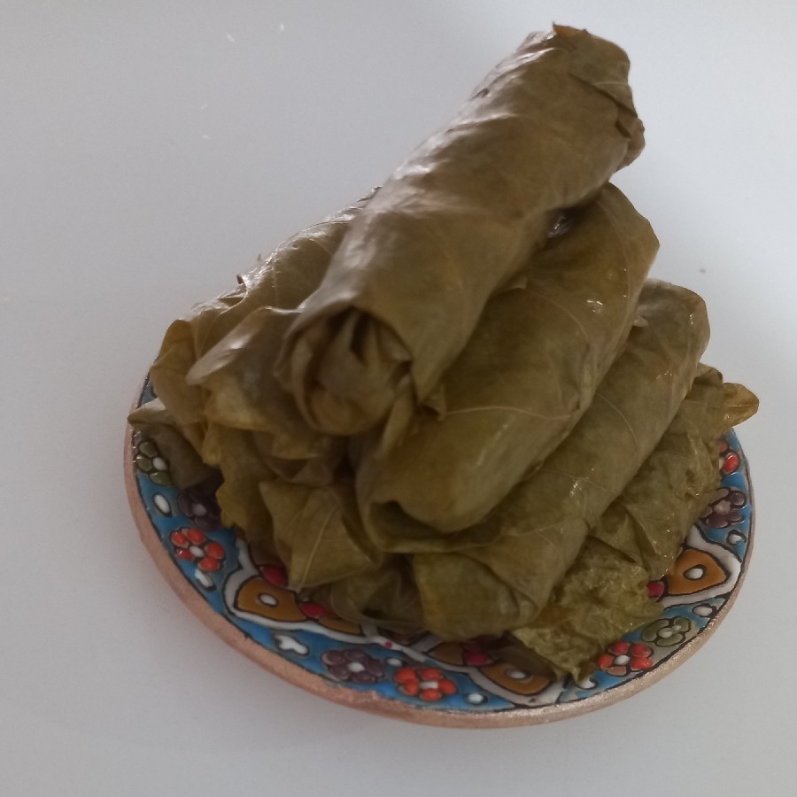 عکس دلمه برگ مو
