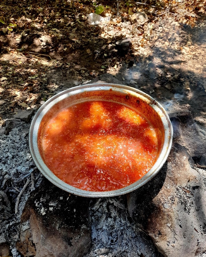 عکس روزمرگی 