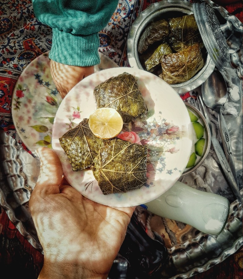عکس دلمه 