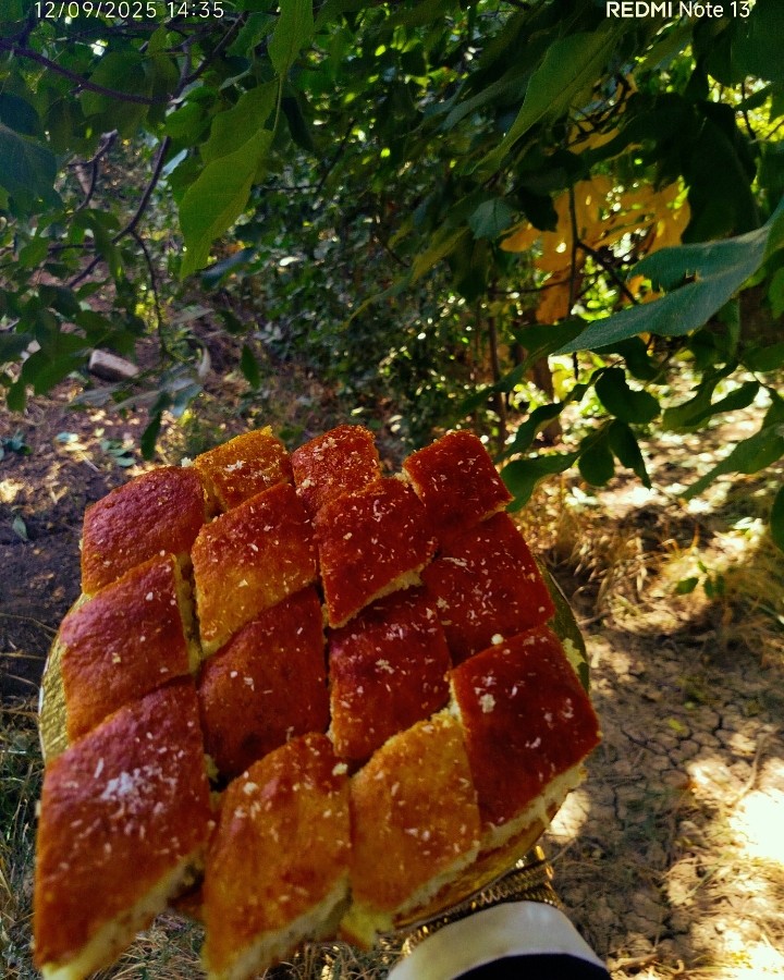 عکس کیک شربتی