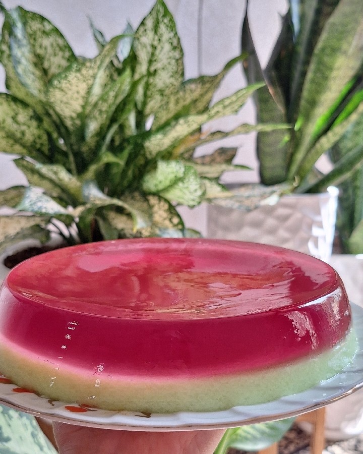 ژله دو رنگ با قالب فلزی?
#ژله#ژله_بستنی#ژله_قالبی#قالب_فلزی#لذت_آشپزی