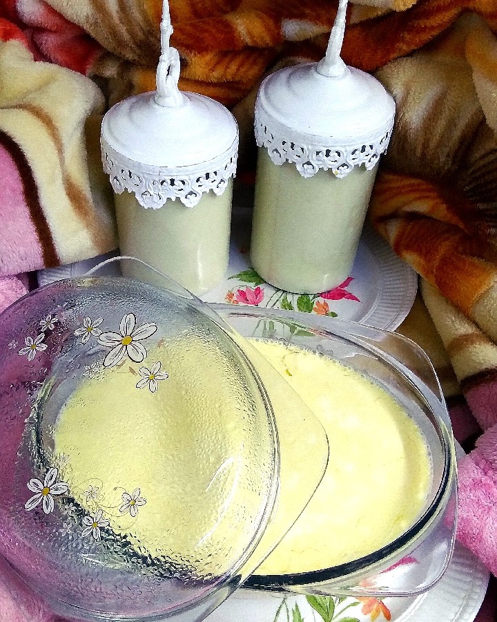 عکس ماست خانگی