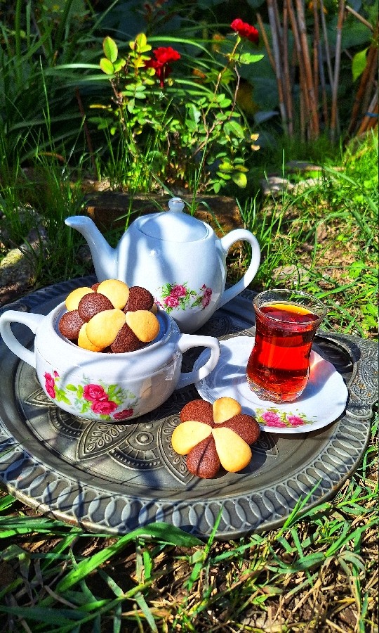 عکس چای وبیسکوییت