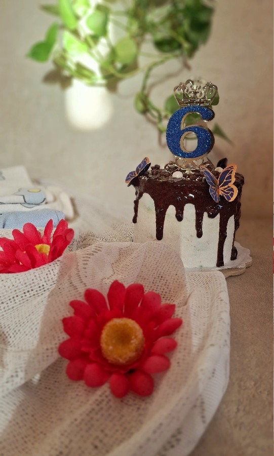 ۶ ماهگی ایلماه جونم