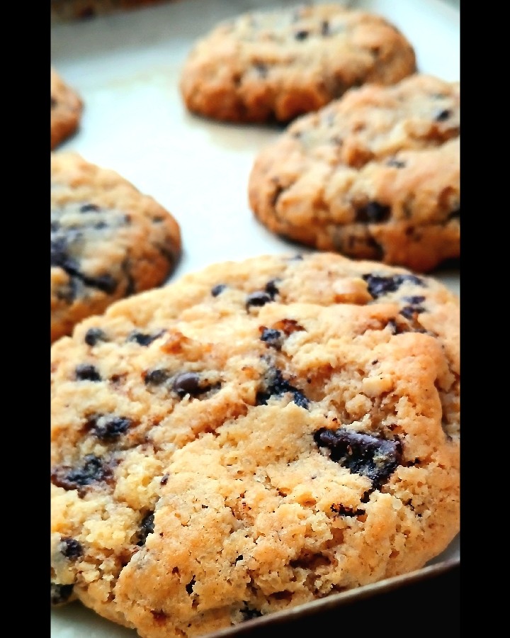 کوکی نیویورکی