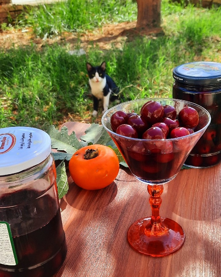 کمپوت آلبالو خونگی