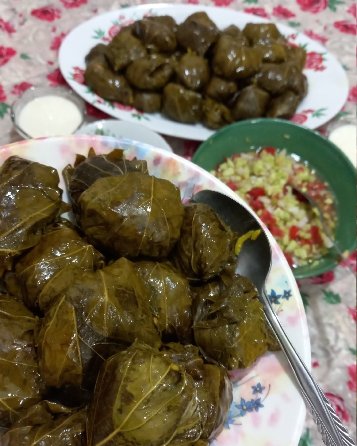 عکس دلمه های خوشمزه ی مامان بزرگ