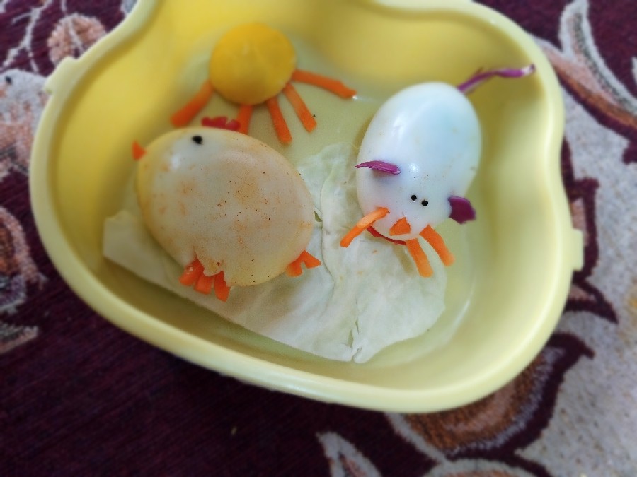 عکس تخم مرغ برای مدرسه پسرا