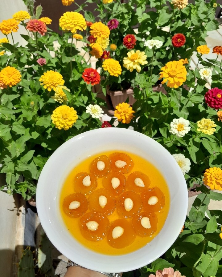 عکس مربای زردآلو 