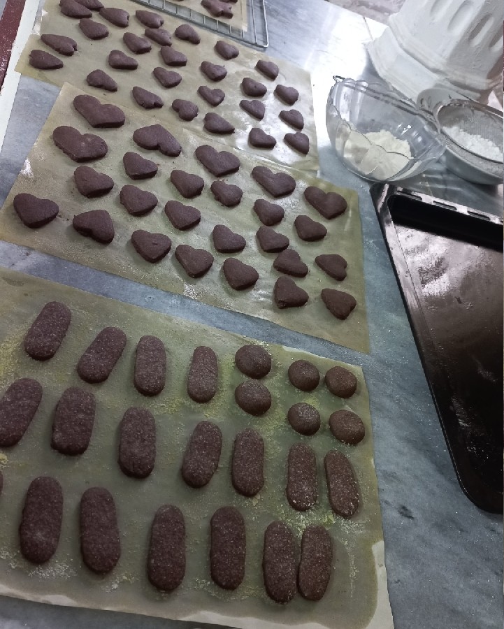 عکس بیسکویت 